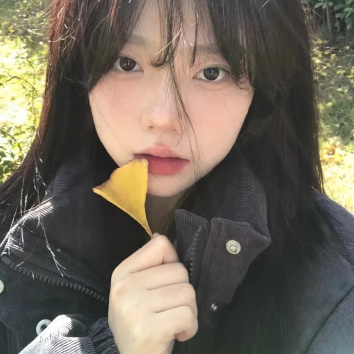 精装追女仔之2