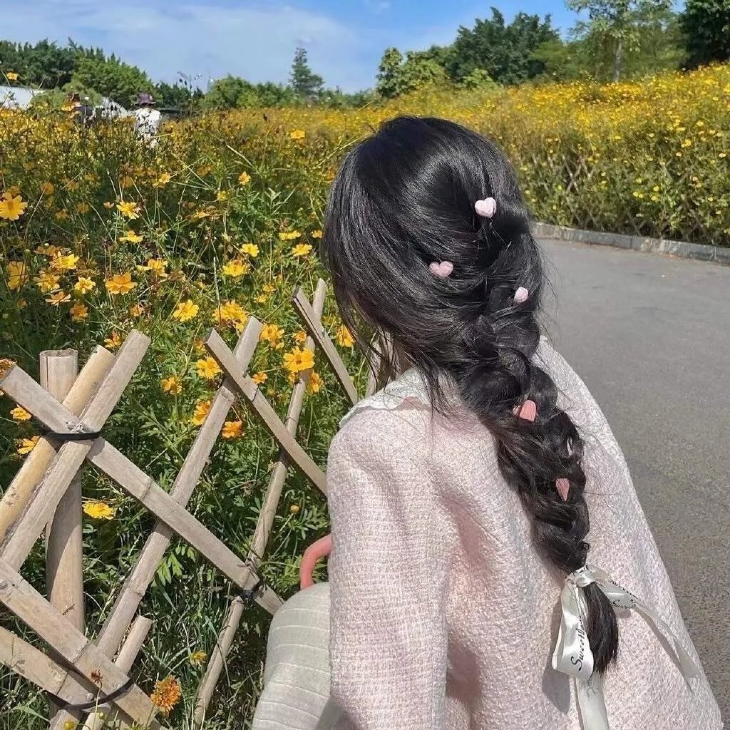 寻秦记国语